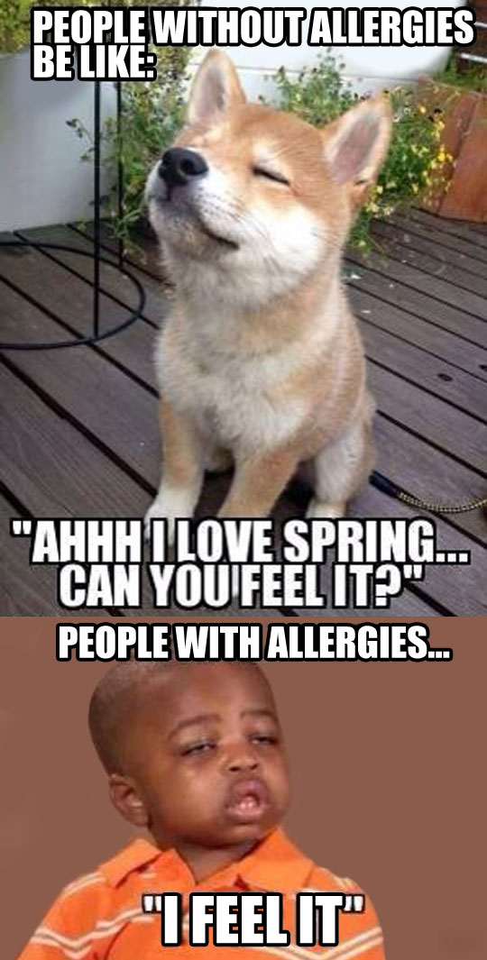 cool-people-allergies-spring-sick-kid
