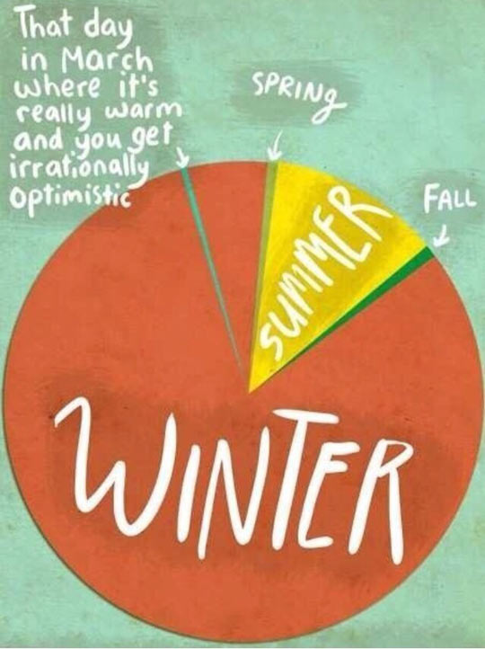 cool-winter-summer-fall-optimistic-pie-chart