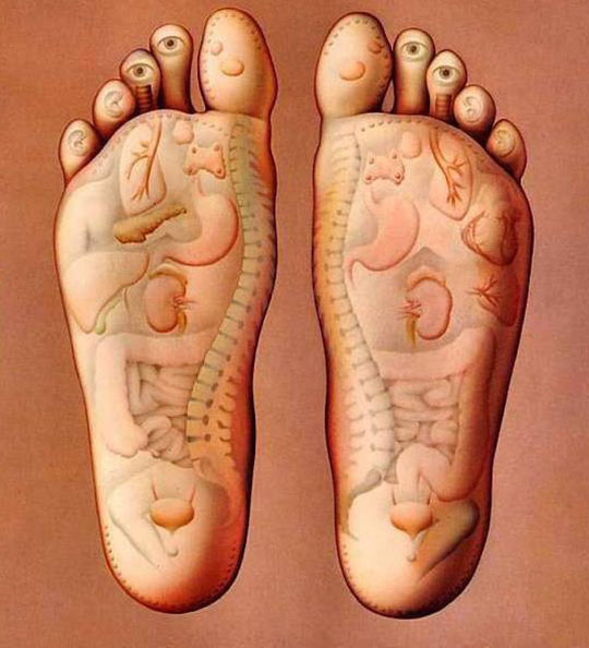 feet-massage-point-organs