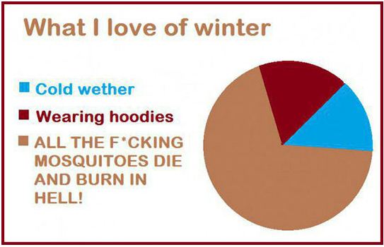 funny-winter-pie-chart-mosquitoes