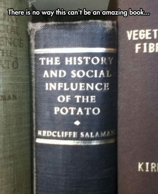 funny-book-potato-influence