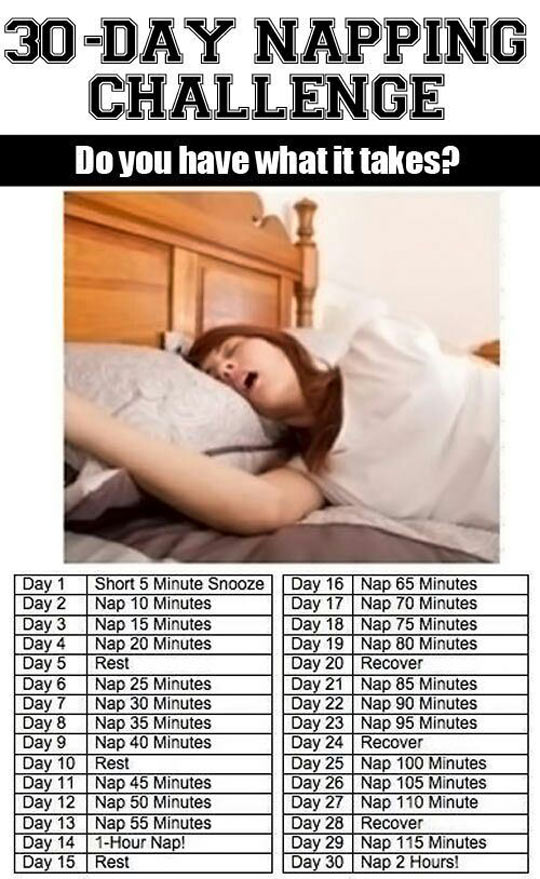 funny-challenge-napping-sleep-month
