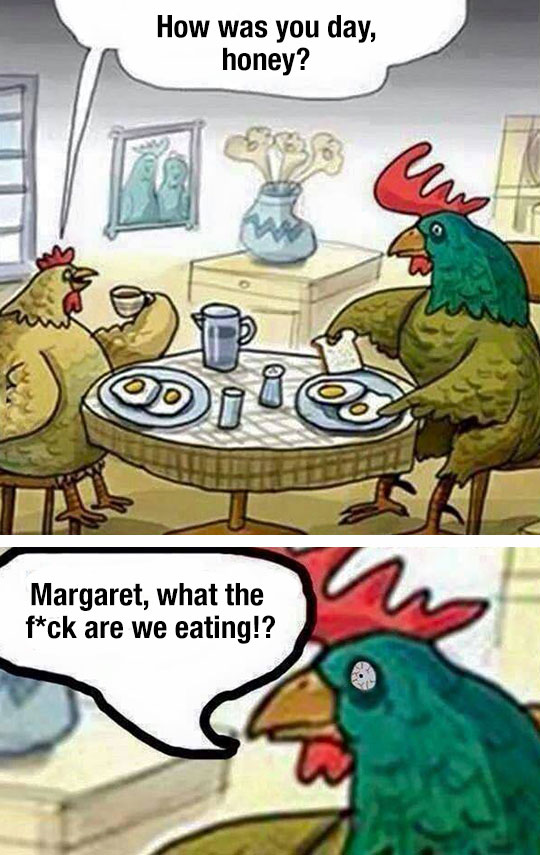funny-chicken-cartoon-eating-eggs