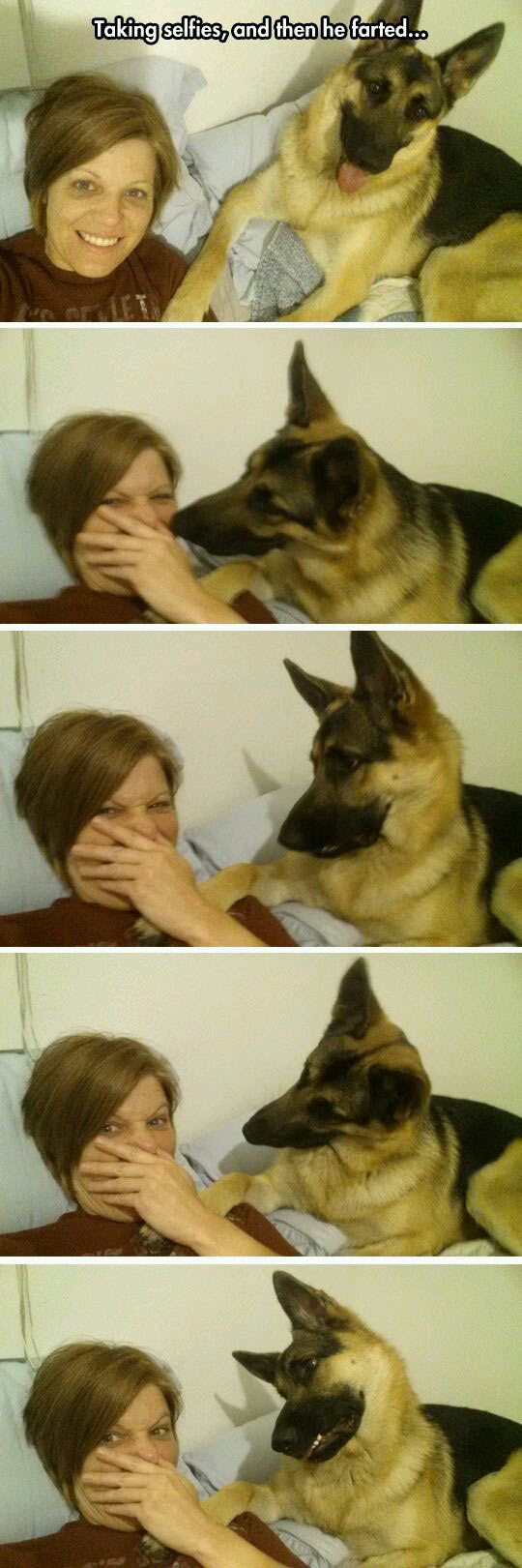 funny-dog-selfie-farted-woman