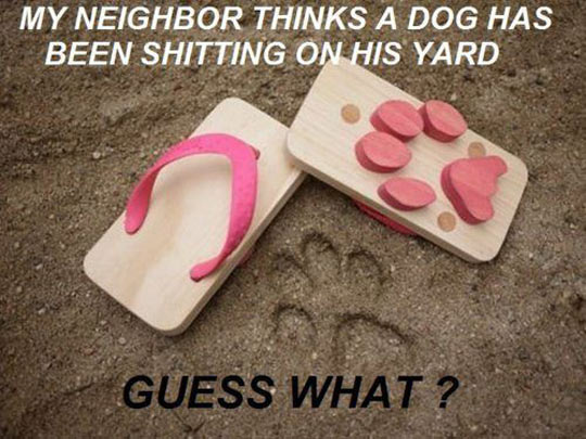 funny-flip-flops-dog-shape-paw