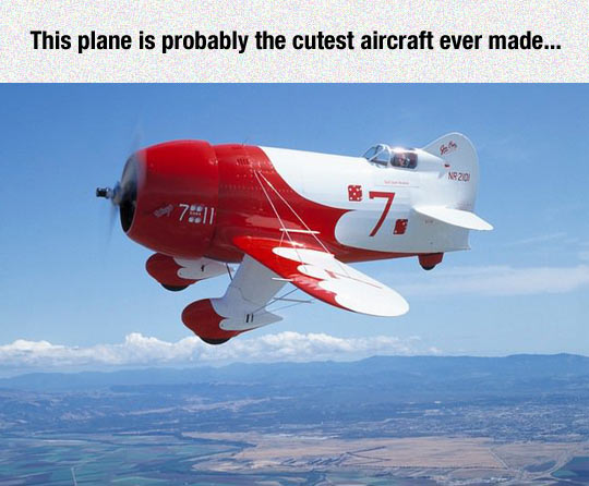 funny-little-plane-sky-cute
