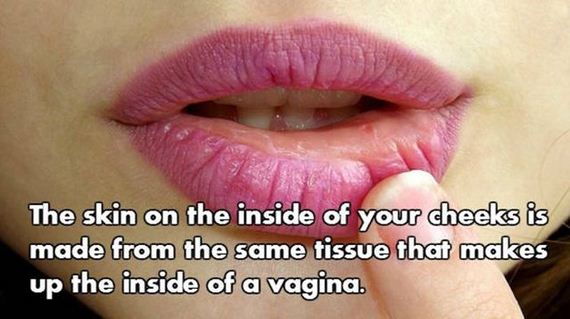 01-nsfw_facts