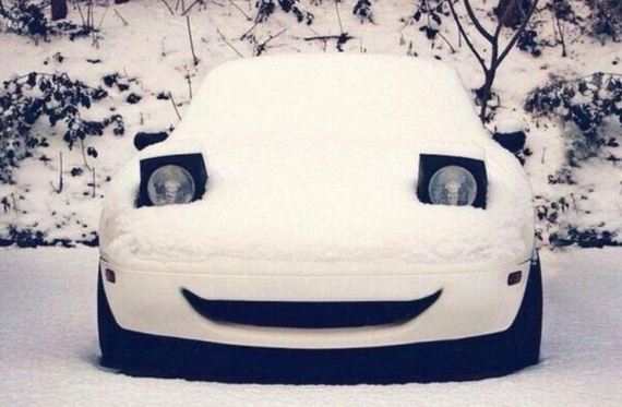 02-funny-pictures-1377