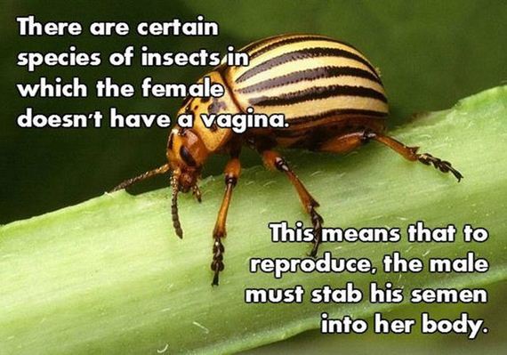 02-nsfw_facts