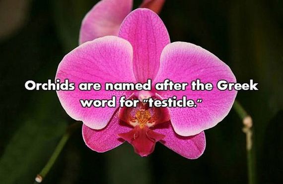 03-nsfw_facts