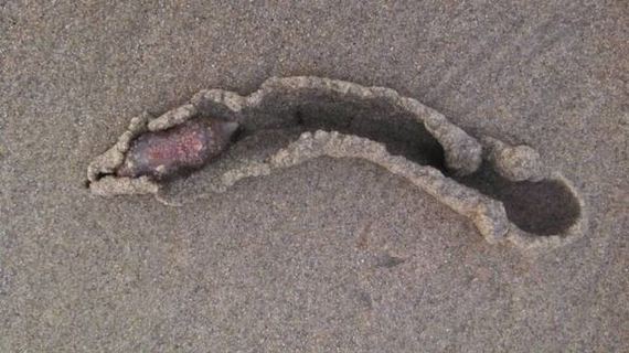 03-unusual_and_oddlooking_thingies