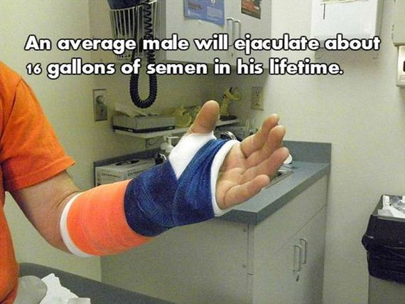 04-nsfw_facts