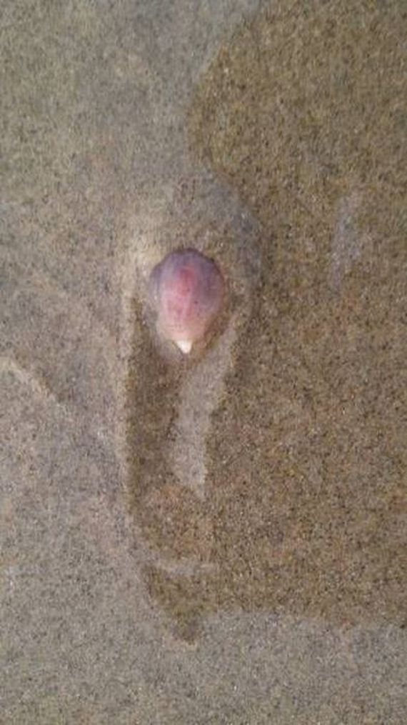 06-unusual_and_oddlooking_thingies