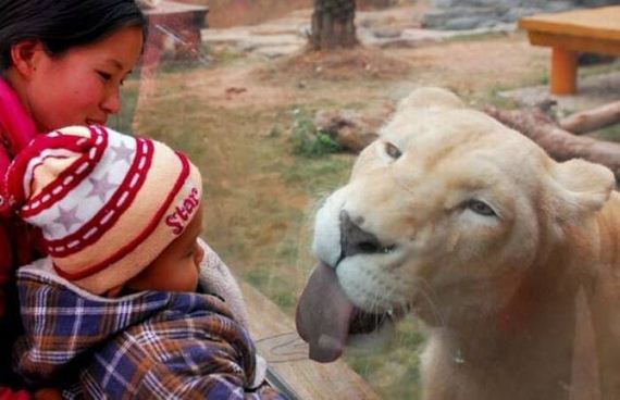 07-funny-pictures-1377