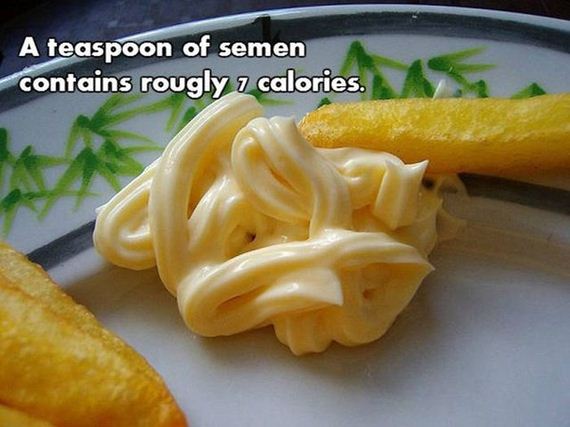 08-nsfw_facts