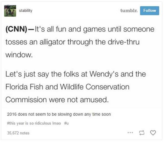 09-2016_funny_tumblr