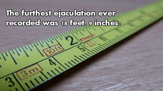 10-nsfw_facts