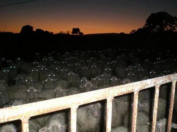11-creepiest-pictures