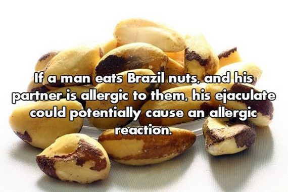12-nsfw_facts