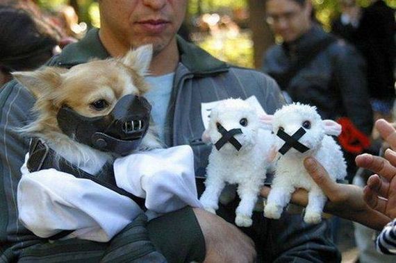 14-funny-pictures-1390