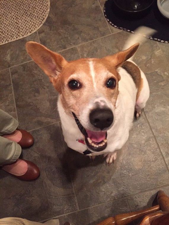 14-puppies-make-me-happy