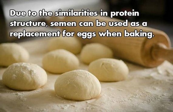 15-nsfw_facts