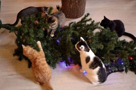16-funny-pictures-1390
