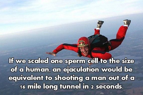 16-nsfw_facts