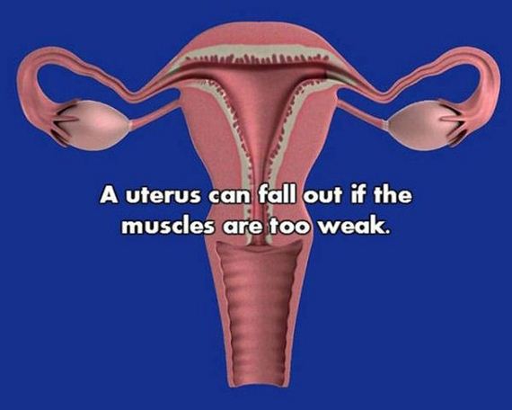 18-nsfw_facts