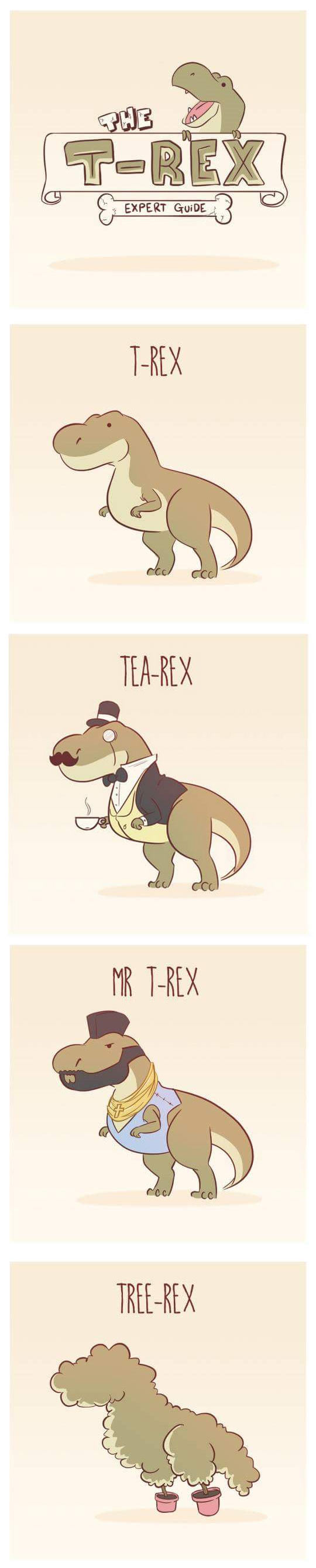 1funny-t-rex-expert-guide-illustrated-tea