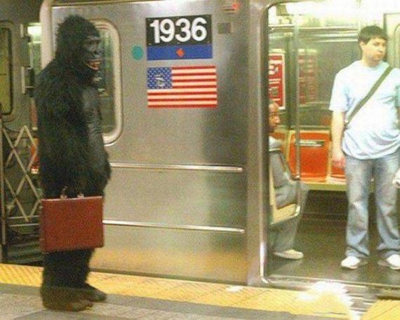 20-funny-pictures-1390