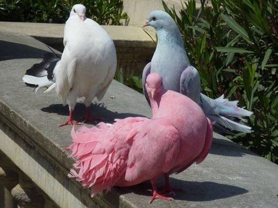 22-funny-pictures-1377