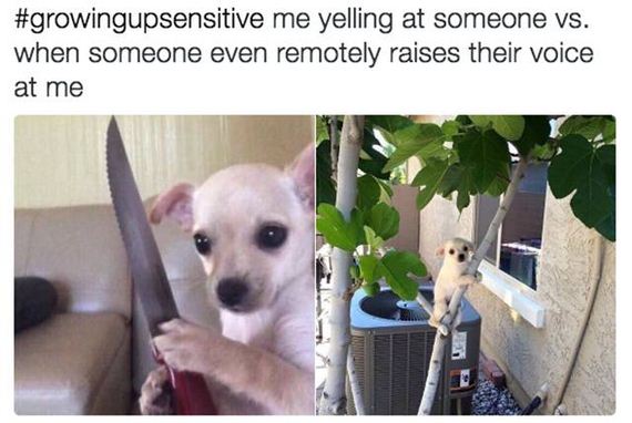 27-memes_that_will_make_you_laugh