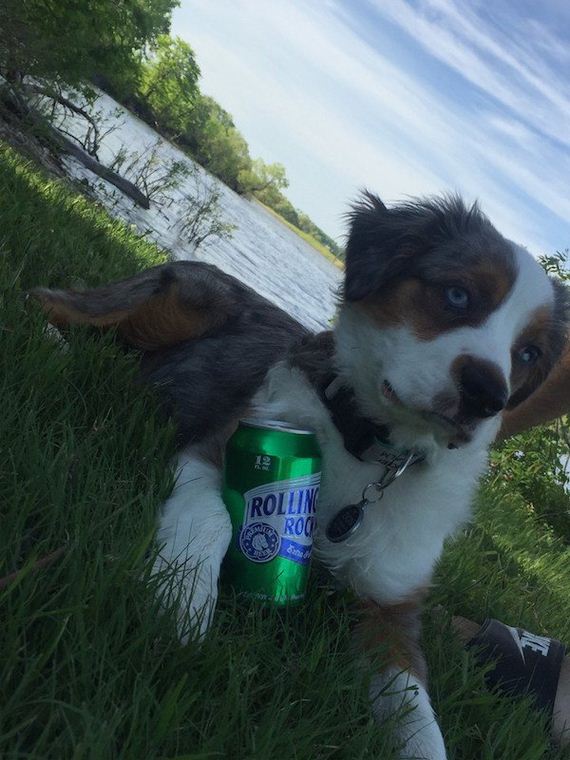 27-puppies-make-me-happy