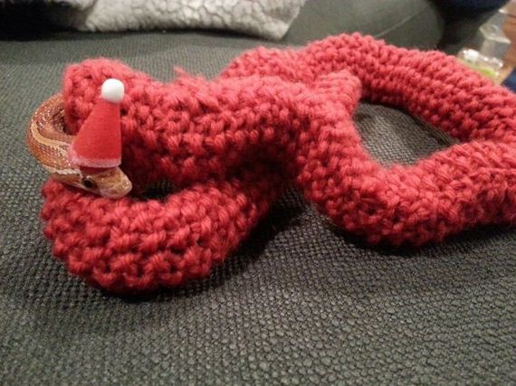 34-funny-pictures-1388