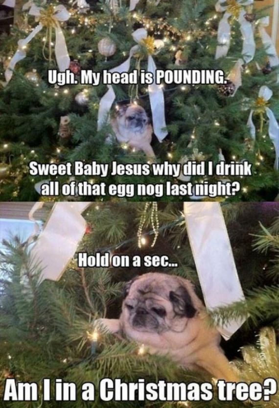 34-merry-christmas-everybody