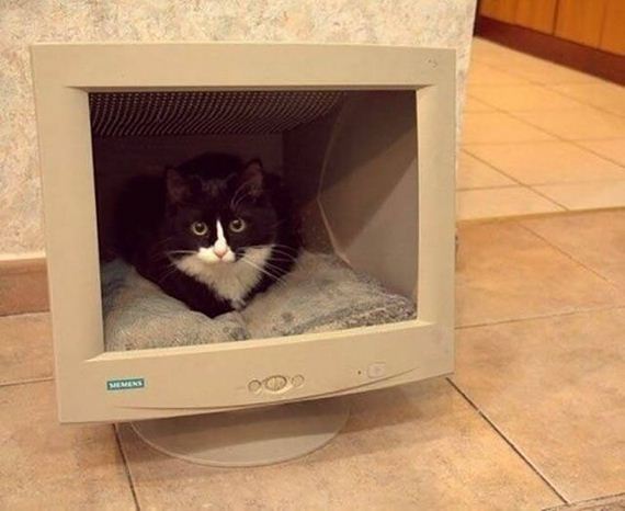 38-funny-pictures-1377