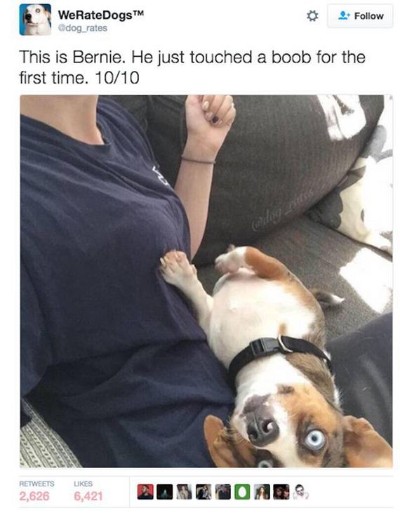 38-memes_that_will_make_you_laugh