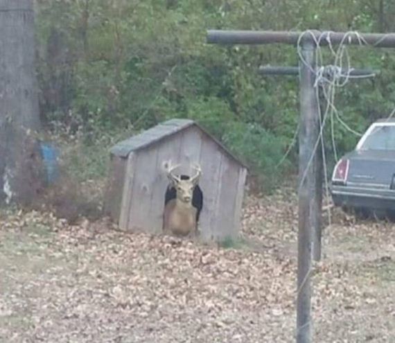 39-funny-pictures-1388
