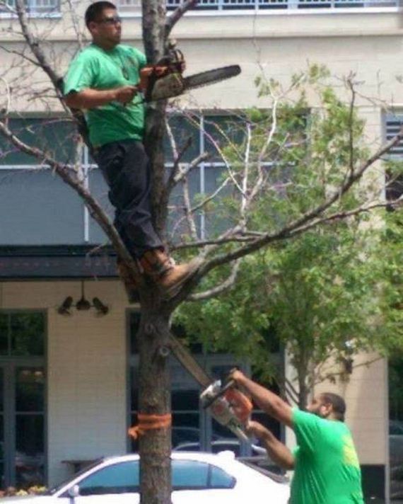 42-funny-pictures-1378