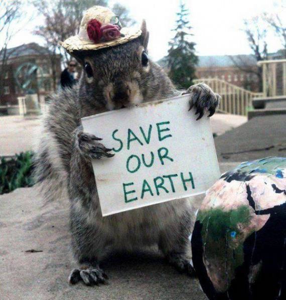 45-funny-pictures-1377