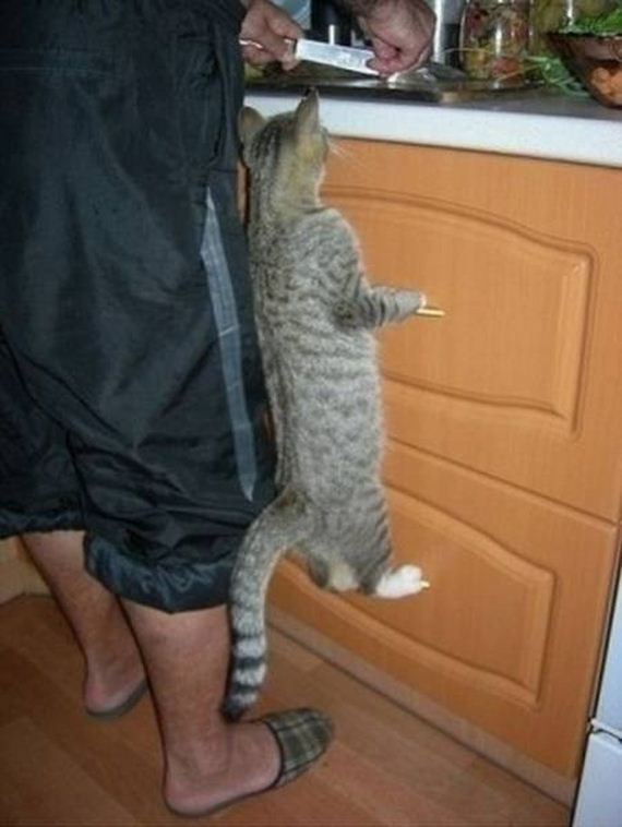 45-funny-pictures-1378