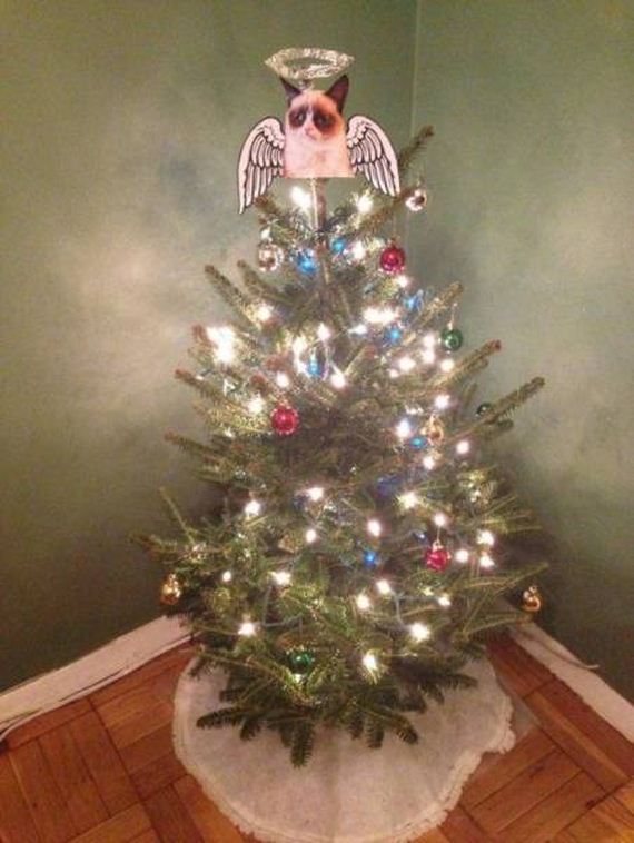 47-funny-pictures-1377