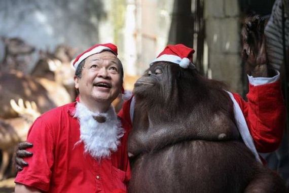 48-merry-christmas-everybody
