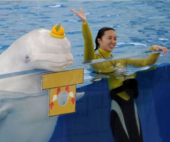50-funny-pictures-1378