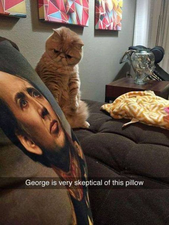 51-funny-pictures-1390