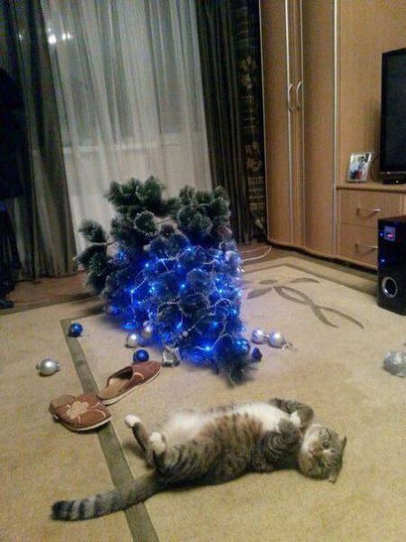 53-funny-pictures-1388