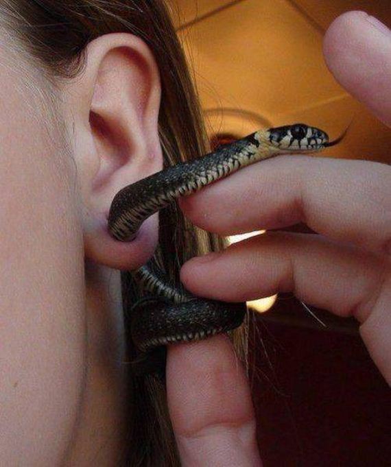 56-funny-pictures-1377
