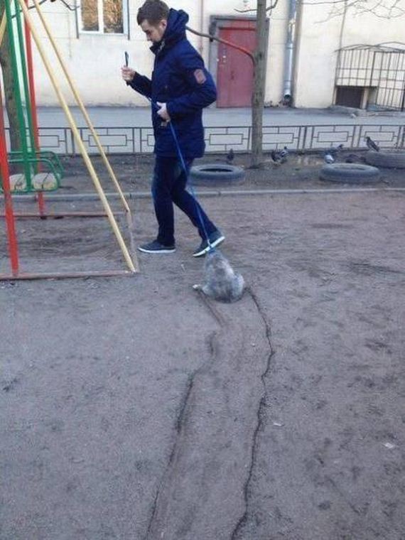 57-funny-pictures-1388
