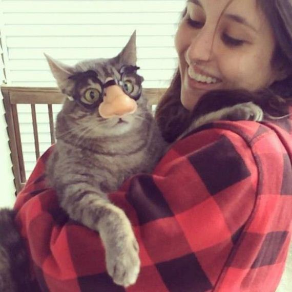 61-funny-pictures-1390